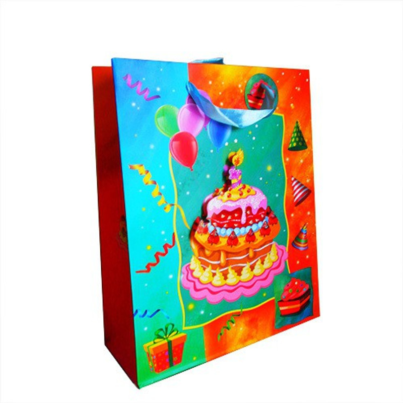 Paper Bag Zone Printed Party Bag(Red, Green, Blue, Pink, Pack of 10)