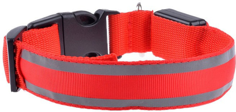 four legs Night safety collar Dog Show Collar(Large, Red)