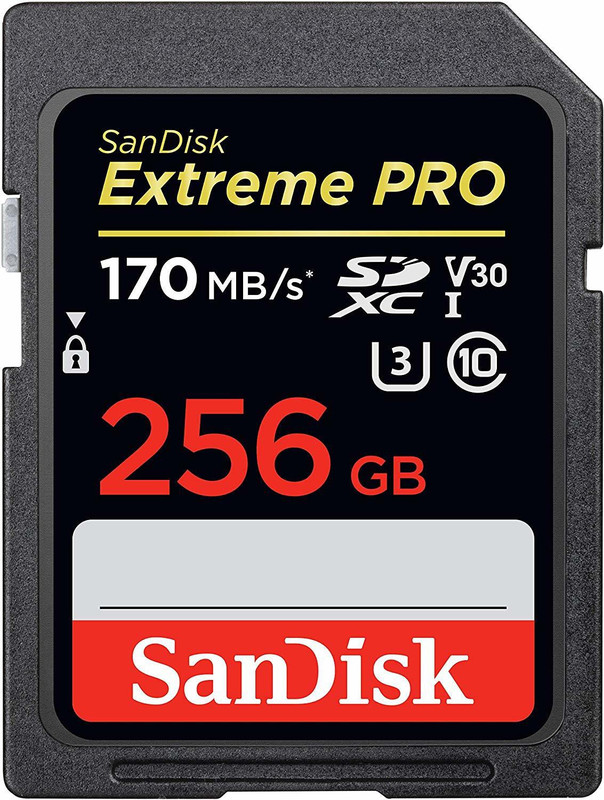 SanDisk Extreme Pro 256 GB SDHC Class 10 170 MB/s Memory Card