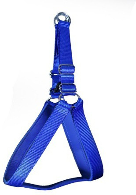 dogsbuzz high quality nylon leash with harness padded (1 inch) blue Dog Harness & Leash(Large, blue)