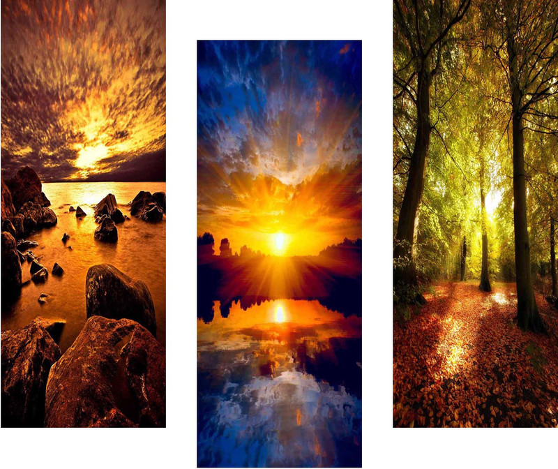 SAF Nature 6MM MDF Framed set of 3 Digital Reprint 15 inch x 18 inch Painting