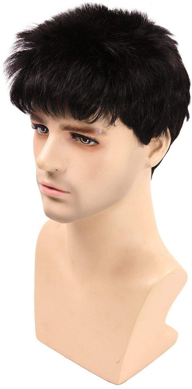 sellers destination Short Hair Wig(Men)