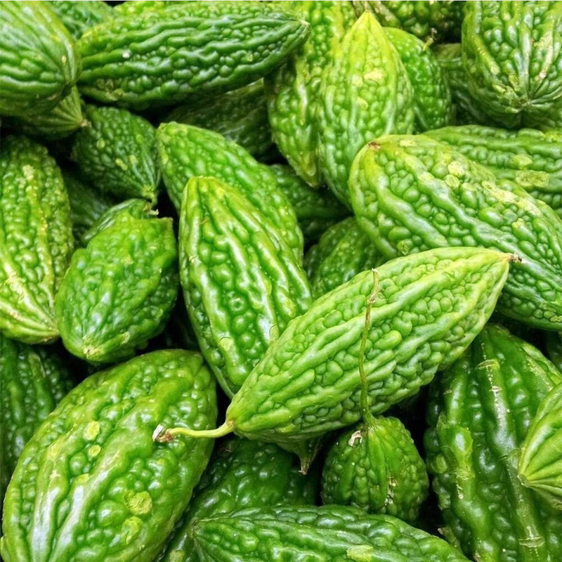 srivaari agro organics Bitter Gourd Seed Pack of 1 Seed(50 per packet)