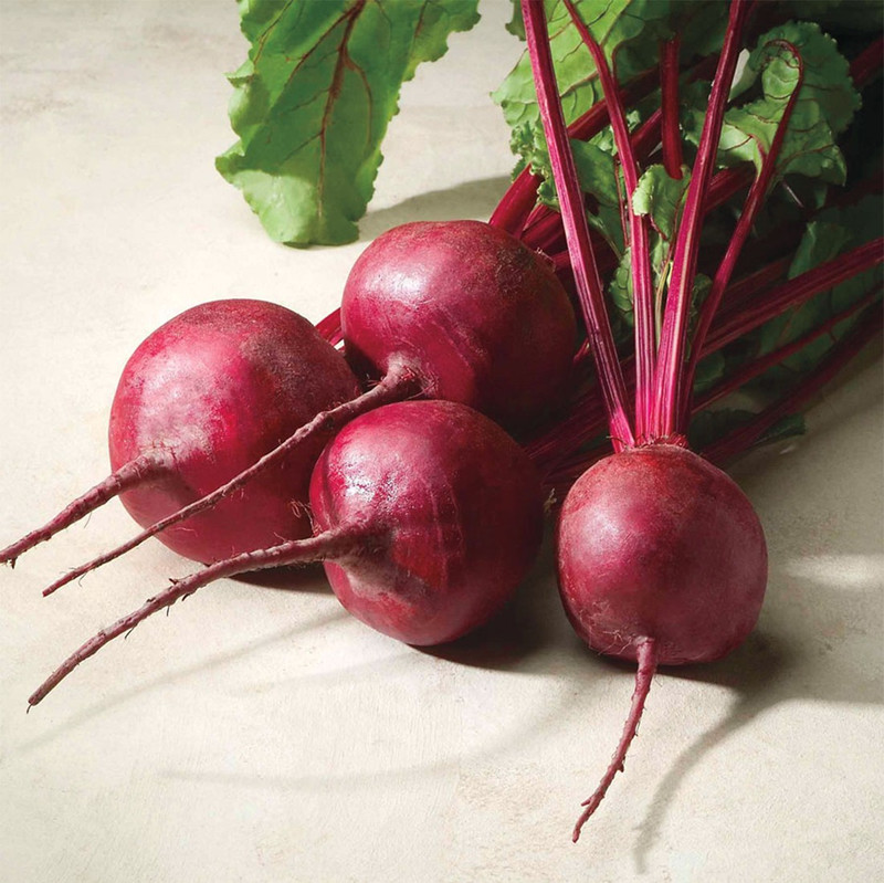 srivaari agro organics Beet root Seed pack of 1 Seed(50 per packet)