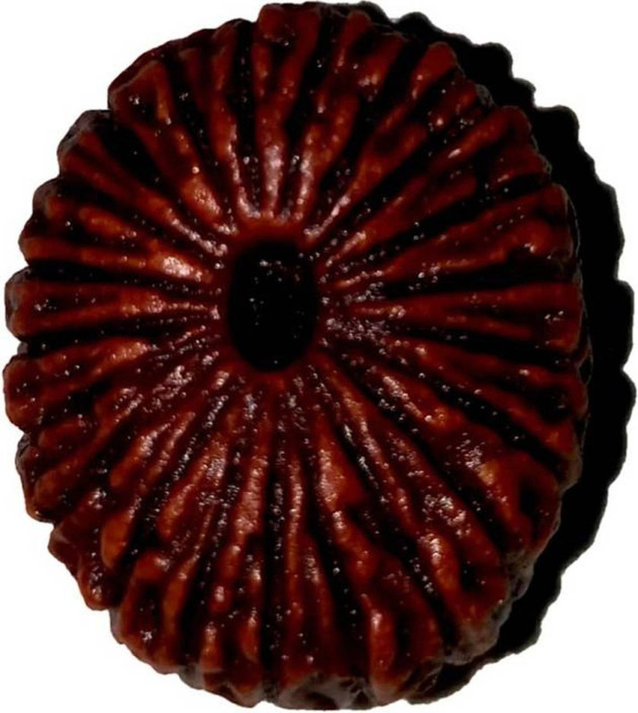 ecraftodisha Natural 21 mukhi certified rudraksha bead Beads Wood Pendant