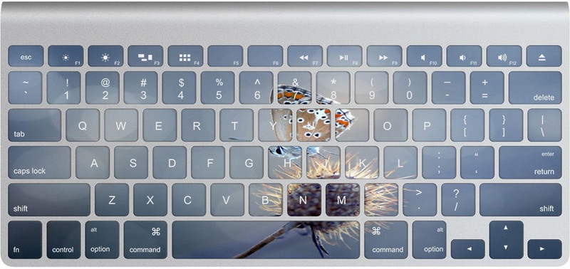 GADGETS WRAP GWS-14041 Printed Natural Butterfly Skin for Apple Magic Keyboard 1 Keyboard Skin(Multicolor)