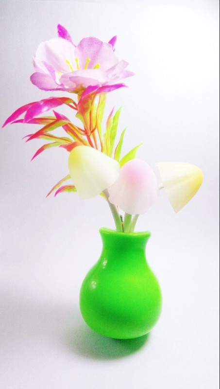 unh Mushroom Led Lamp (Work only in dark room) Night Lamp(3 cm, Green)