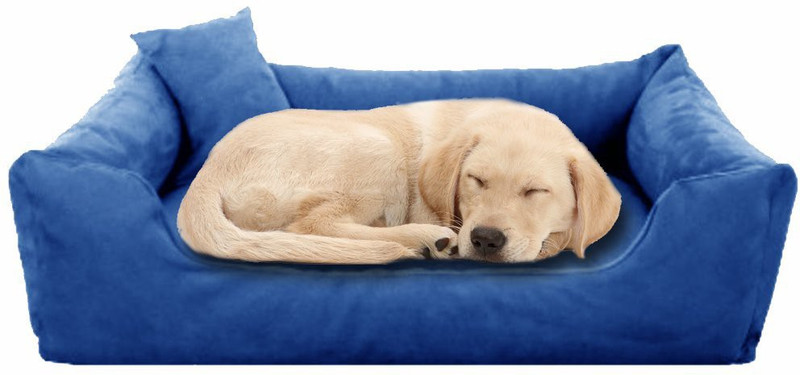 Petroyale BD-Blue2 XL Pet Bed(Blue)