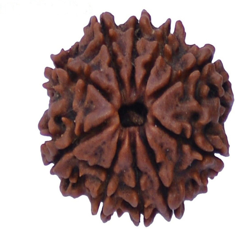 brahmgyan gallary 100% genuine brown color ten face rudrakash Wood Pendant
