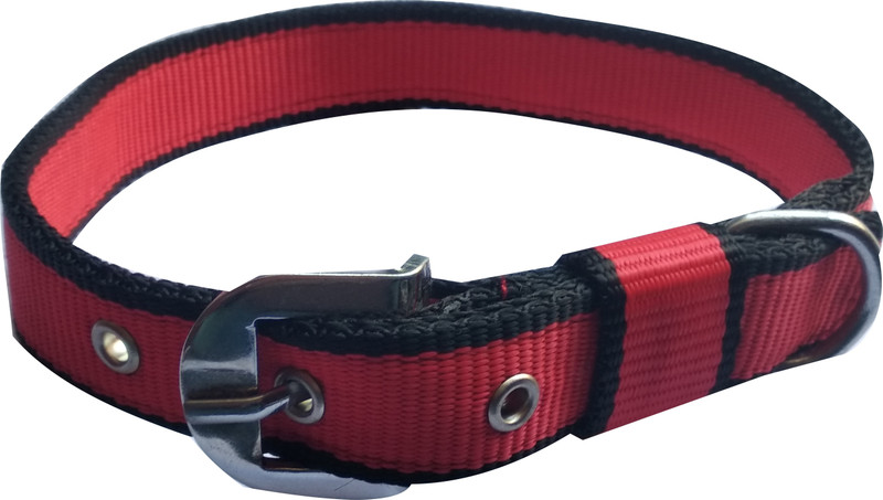 S.Blaze GOOD QUALITY 1 INCH RED BLACK DESIGNED DOG COLLAR Dog Everyday Collar(Medium, multi color)