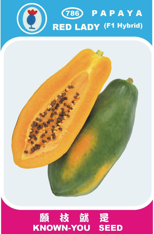 fresh seeds Red lady 786 papaya Taiwan seeds Seed(660 per packet)