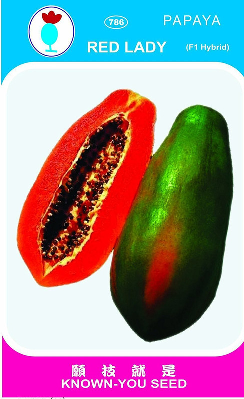 fresh seeds Red lady papaya (F1) hybrid 786 seed Seed(600 per packet)