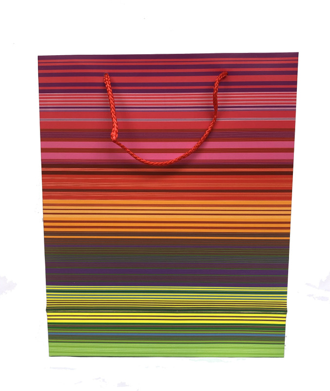 jbn crown Printed Party Bag(Multicolor, Pack of 12)