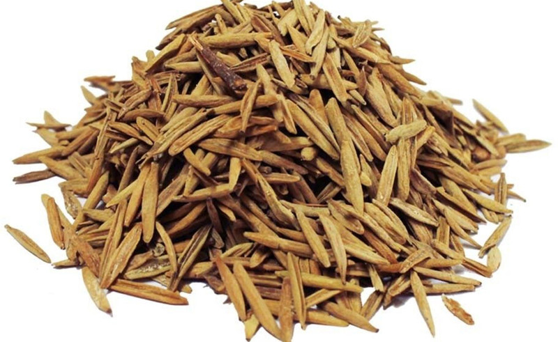 radhakrishna Indrajau 100 Gem, Inderjo Kadwa, Indrajav Seed, Holarrhena Pubescens Seed, Inderjoo, Indrajau, Katuja, Inderjoo Bitter Seed(100 per packet)