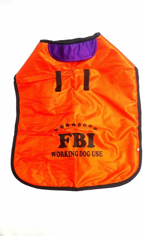 dogsbuzz Coat for Dog(orange)