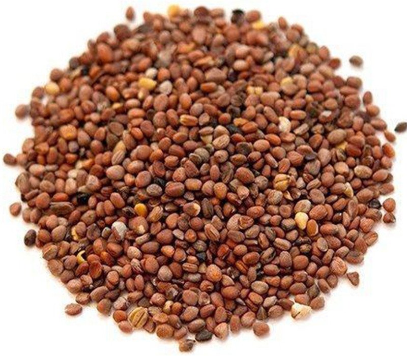 srivaari agro organics Red Radish Seed Pack of 1 Seed(40 per packet)