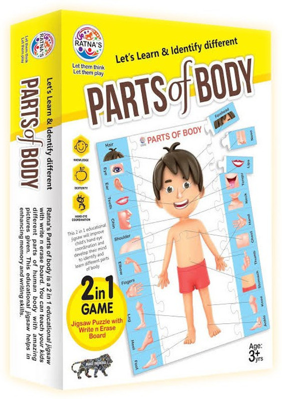 prem ratna toys Parts Of Body(White)