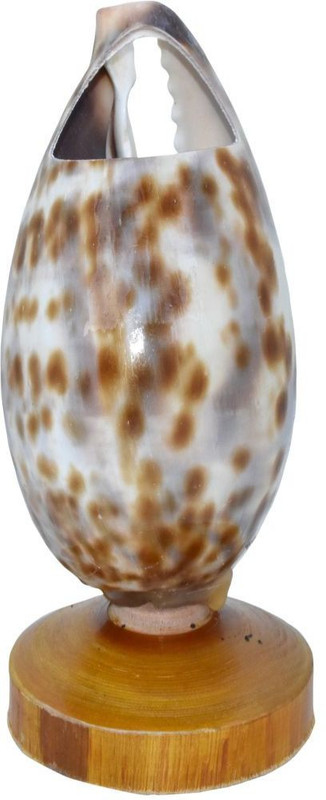apnhandicraft 1 Compartments SEA SHELL, WOOD PENSTAND(Multicolor)