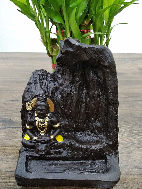 The Craftsman Lord Shiva Smoke Fountain/Shiva Smoke Fountain/Shiv BHOLE Nath Incense Burner/OM Namah SHIVAY Smoke Backflow/Lord Shiva Idols/with 10 Smoke Backflow Scented Cone INCENSES Decorative Showpiece  -  12 cm(Polyresin)