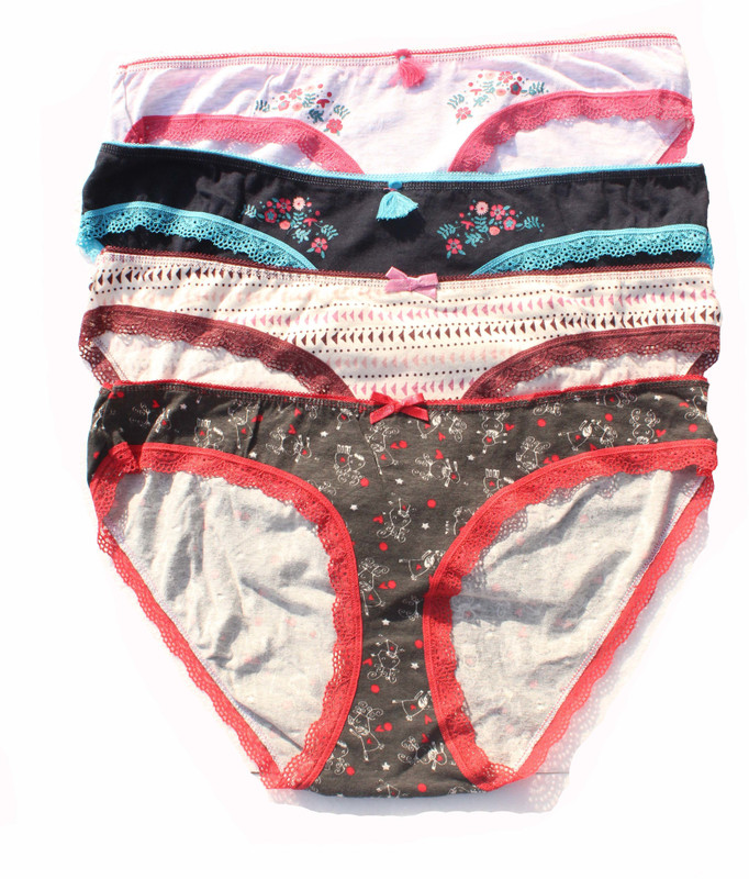 jsr Women Bikini Multicolor Panty(Pack of 4)