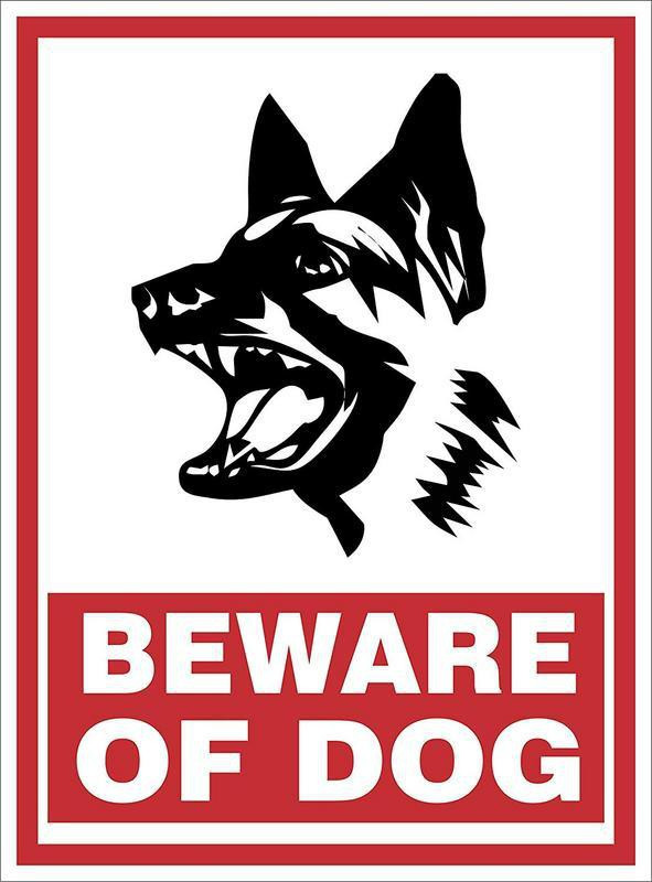 R Print-Beware of The Dog - Positive Solutions for Aggressive Behavior in Dogs (8.5x11 Inch) Paper Print(12 inch X 9 inch)