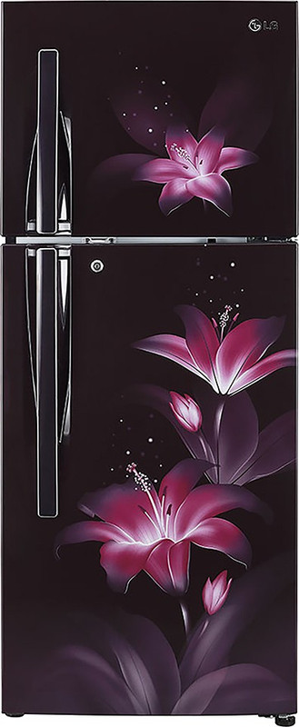 LG 284 L Frost Free Double Door 3 Star Refrigerator(Purple Glow, GL-T302RPGU) LG 284 L Frost Free Double Door 3 Star Refrigerator(Purple Glow, GL-T302RPGU)
