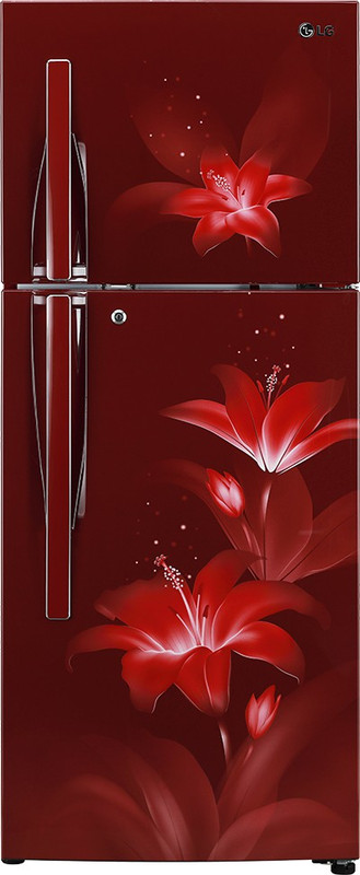 LG 260 L Frost Free Double Door 3 Star Refrigerator(Ruby Glow, GL-T292RRGY) LG 260 L Frost Free Double Door 3 Star Refrigerator(Ruby Glow, GL-T292RRGY)