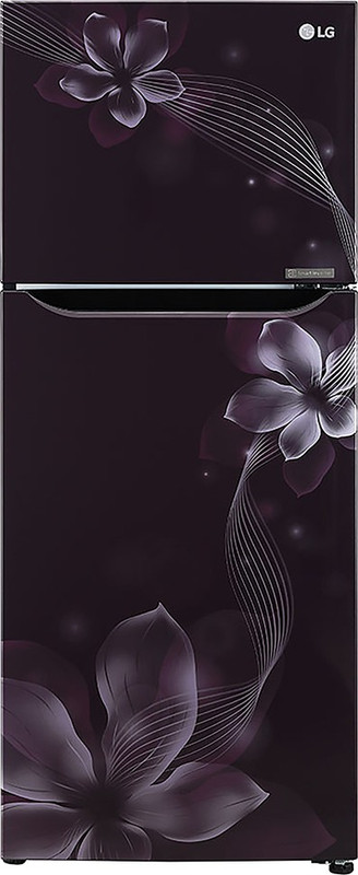 LG 260 L Frost Free Double Door 3 Star Refrigerator(Purple Orchid, GL-N292DPOY) LG 260 L Frost Free Double Door 3 Star Refrigerator(Purple Orchid, GL-N292DPOY)