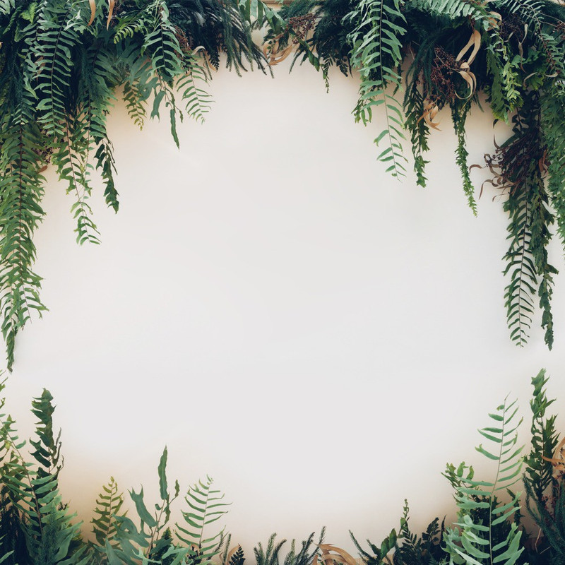 Buy Blank background with leaf in side border Wall StickerMotivational Funky s for Life