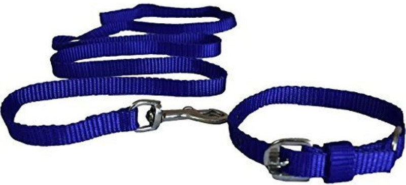 smarty RR-54 Dog Collar & Leash(Small, blue)