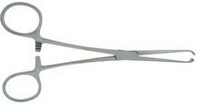 momento Allis Forcep Straight Operating Scissors(Sharp/Sharp Blades)