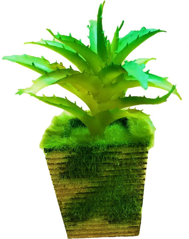 flower paradise Artificial Aleo Vera Tree With Imported Pot, green leaves beautiful look Bonsai Artificial Plant  with Pot(18 cm, Green)
