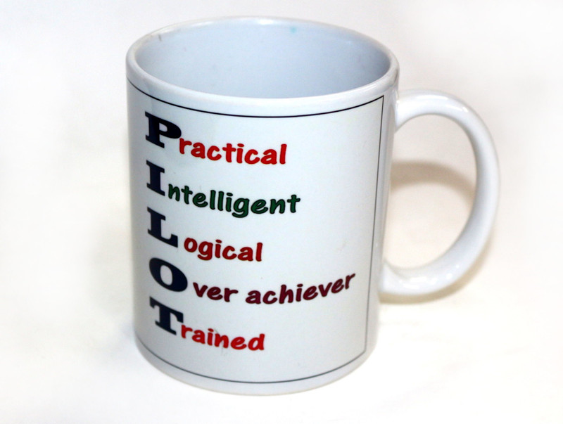 pilot18 Pilot full form premium aviation theme mug for pilots and crew Porcelain Mug(200 ml)