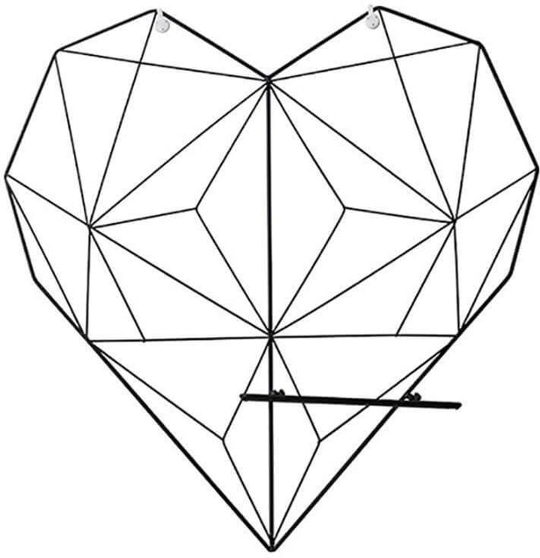 AweStuffs Photo Grid Mesh Frame 20 inch Metal Mesh(128 MB, Black)