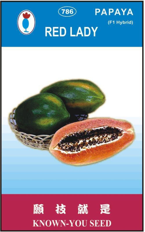 seeds Red lady 786 taiwan papaya Seed(700 per packet)