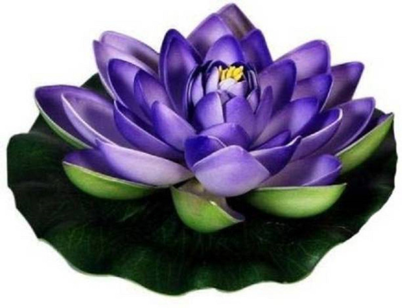 dannyboyzs Artificial Water Floating Lotus, Home And Party Decorations 7 inch Purple Lotus Artificial Flower(7 inch, Pack of 1)