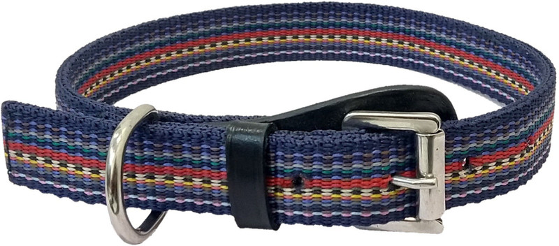 kuze KZ-19041902 Plain Dog Collar Charm(Multicolor, Round)
