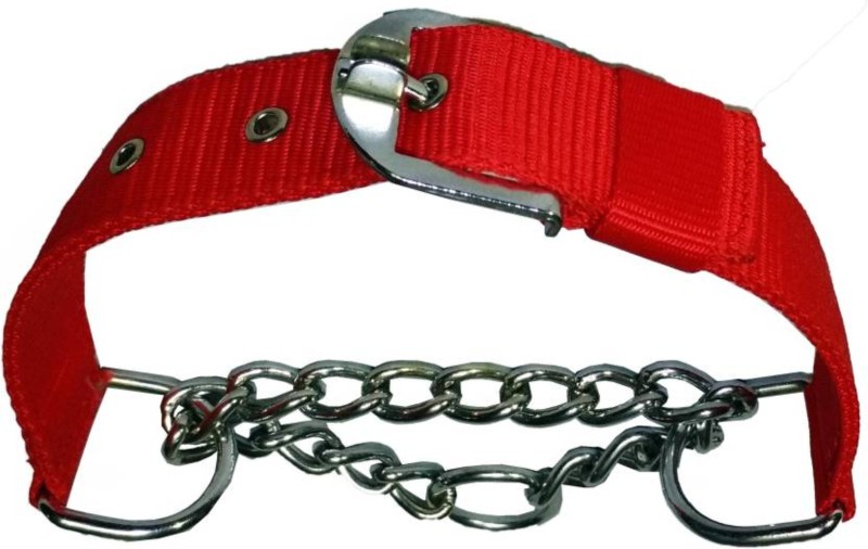 S.Blaze NYLON QUALITY HEAVY DOG BREED CHOKE COLLAR Dog 001 Dog Collar & Chain(Medium, MULTI COLOR)