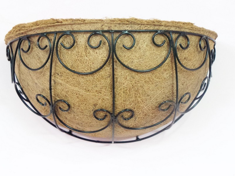 wali creations Designer wall mounted half basket 12" Plant Container(Metal, External Height - 14.5 cm)