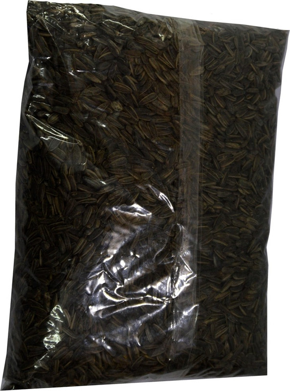 foodies puppies Sunflower Seed Nuts 0.5 Dry Bird Food