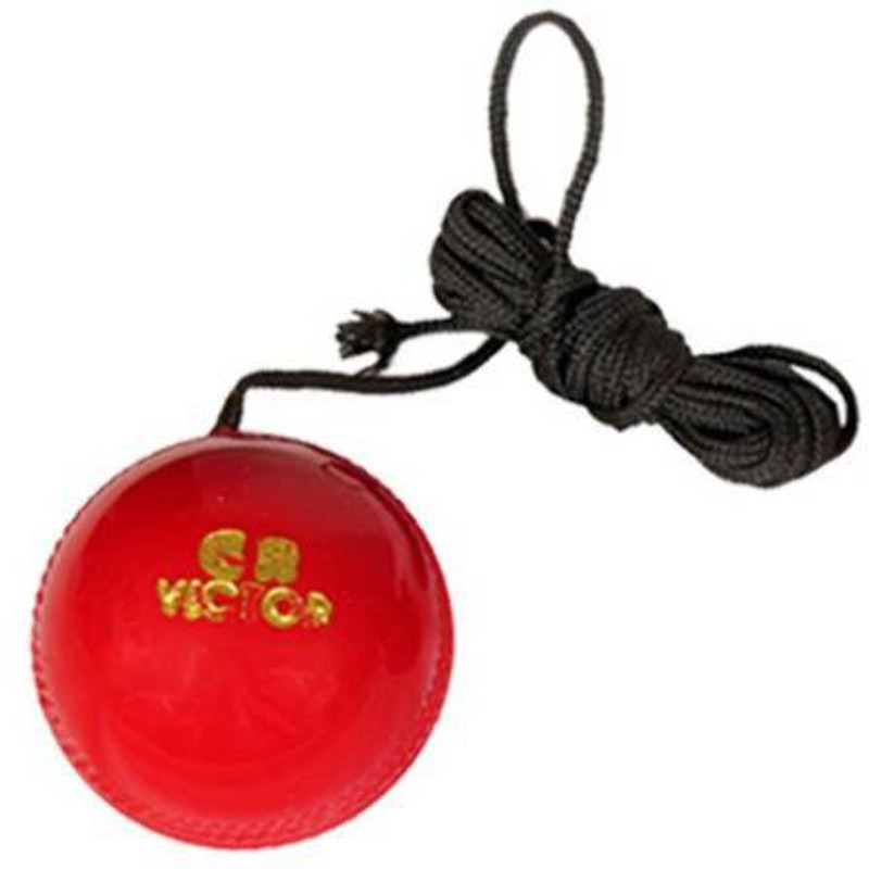 L'AVENIR Cricket Bat Knocking / Hanging Ball Cricket Training Ball(Standard, Pack of 1, Red)