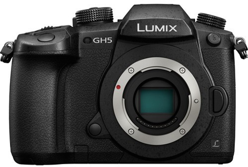 Panasonic Lumix DC-GH5GA Mirrorless Camera Body Only(Black)