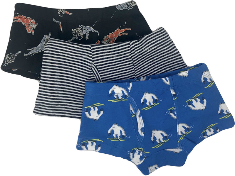 color culture Brief For Boys(Multicolor Pack of 3)