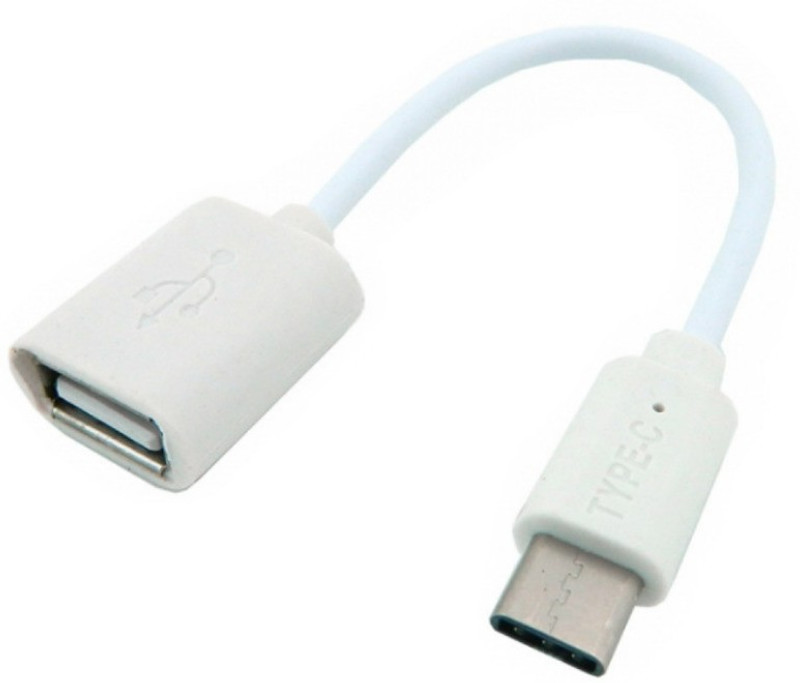 case hut OTG/B-205 0.1 m OTG Cable(Compatible with Type C Mobile Devices, White)