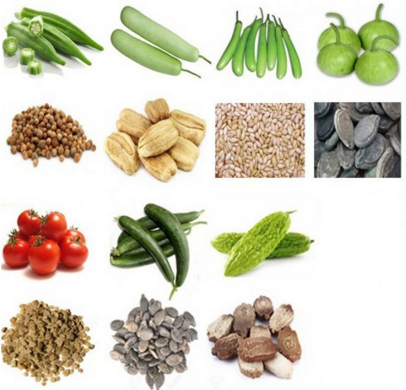 R Droz F 1 Hybrid Vegetables Seeds Bhindi Okra Lady Finger Bottle Gourd Ghiya Brinjal Long Green Round Gourd Tinde Tomato Red Sponge Gourd Tori Bitter Gourd Karela Seed 7 Per Packet Buy Online In