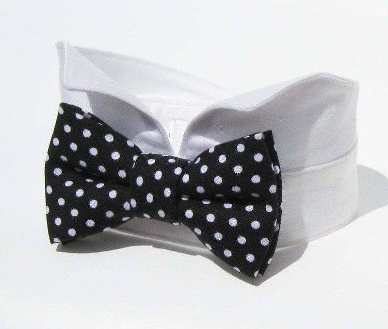 dogmafia Bow Tie for Dog(black, white)