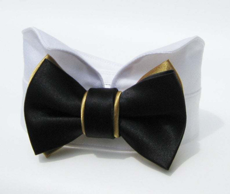 dogmafia Bow Tie, Bandana, Tuxedo for Dog(golden, black)