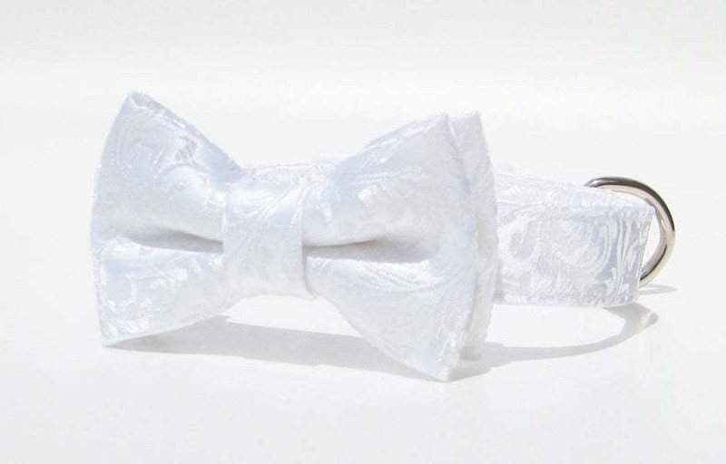 dogmafia Bow Tie, Bandana, Costume for Dog(shining white)