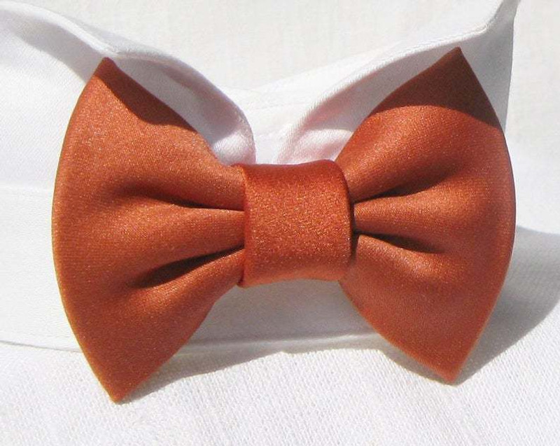 dogmafia Bow Tie, Bandana for Dog, Cat(white, orange)