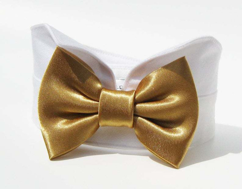 dogmafia Bow Tie, Bandana, Costume for Dog, Cat(golden, white)